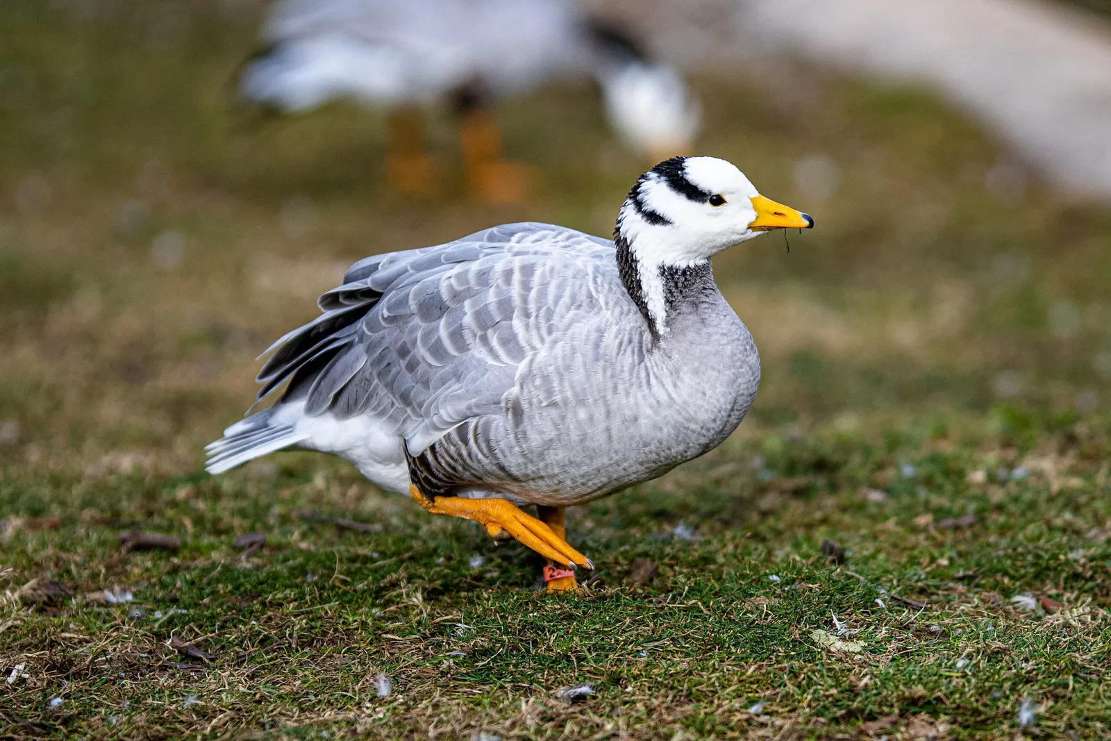 Cleveland Metroparks Zoo