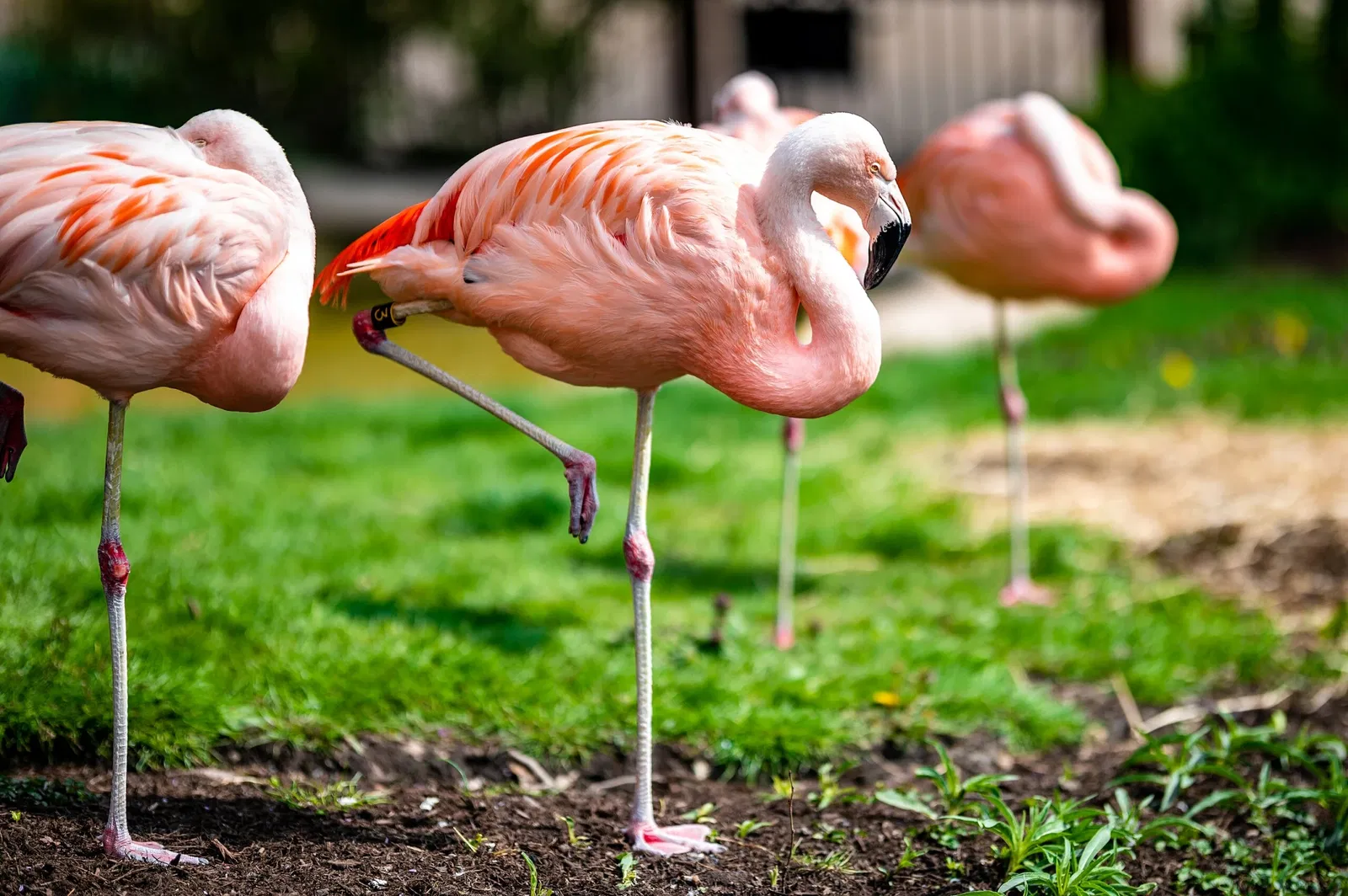 Cleveland Metroparks Zoo