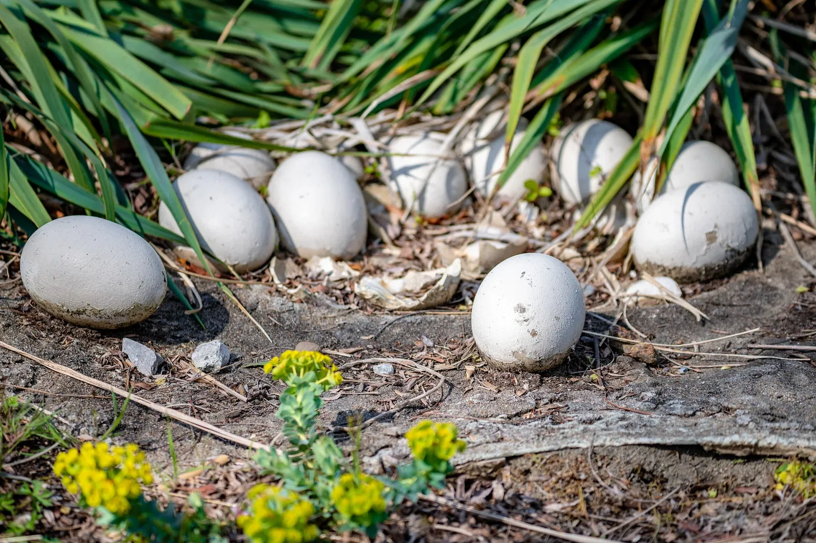 Cleveland Metroparks Zoo