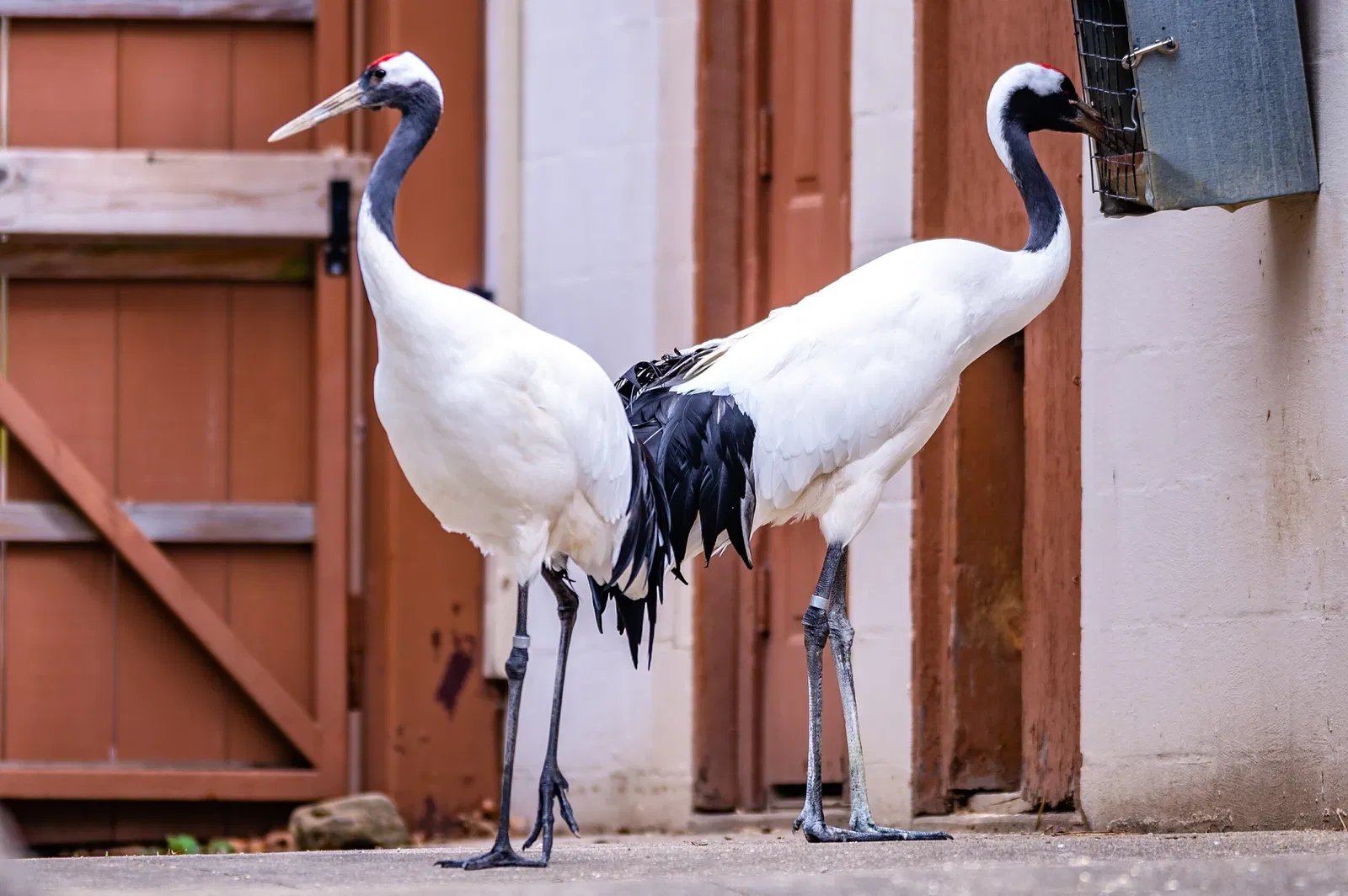 Cleveland Metroparks Zoo