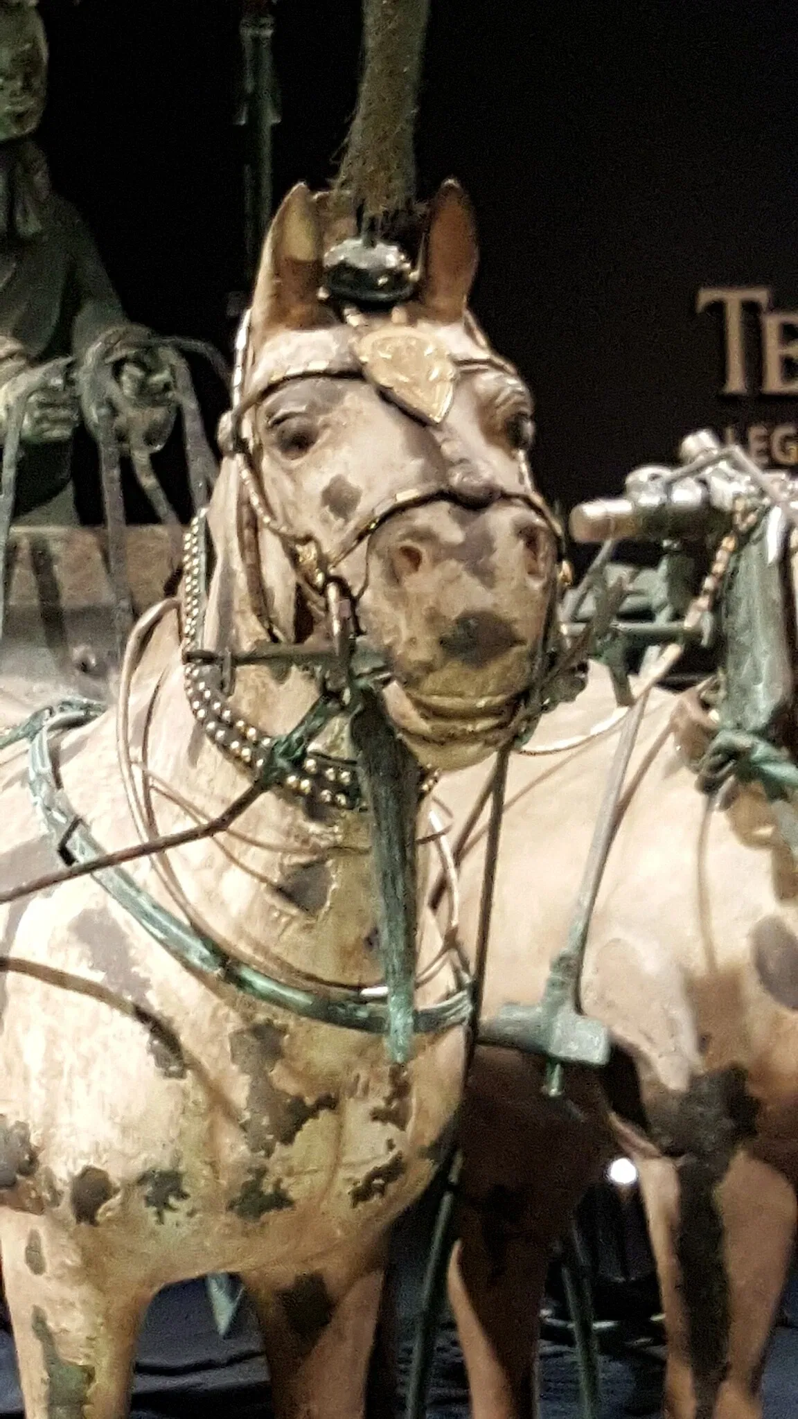 Museo di belle arti della Virginia