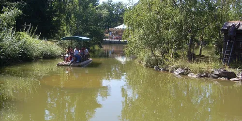 Nourrissage des hippopotames