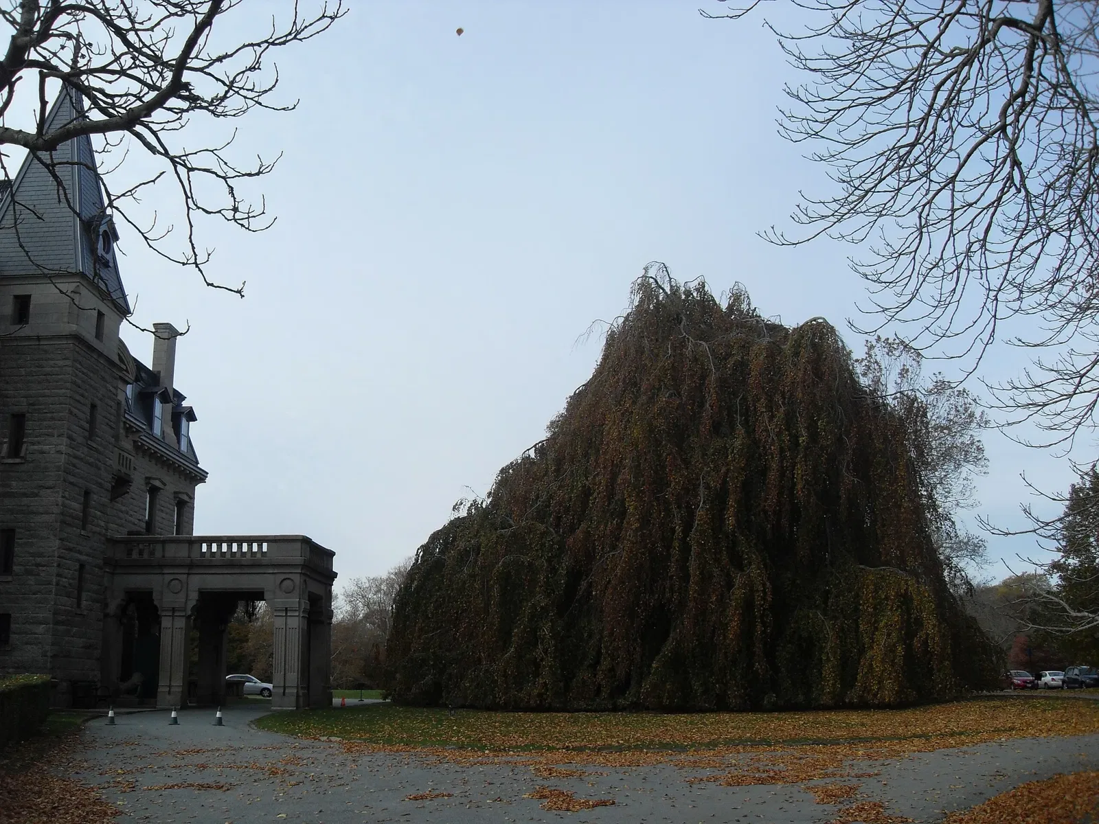 Chateau-sur-mer Mansion