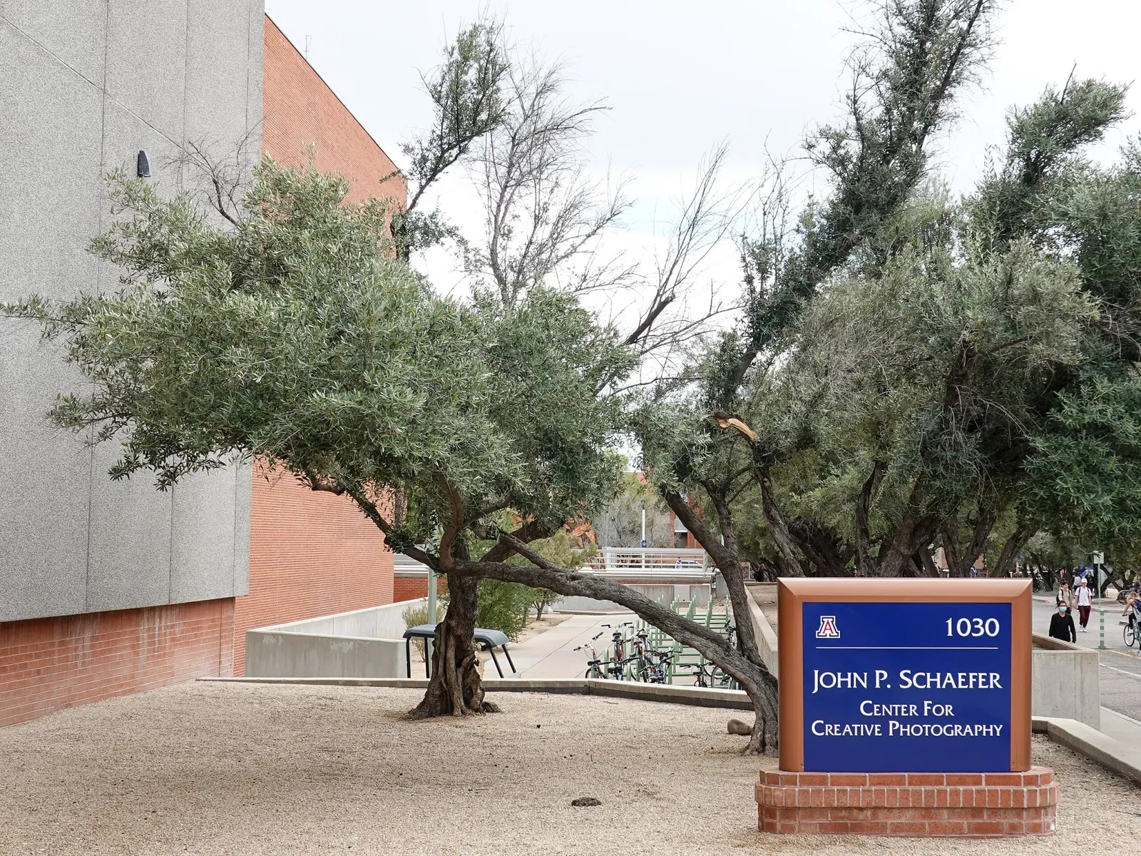 Center For Creative Photography