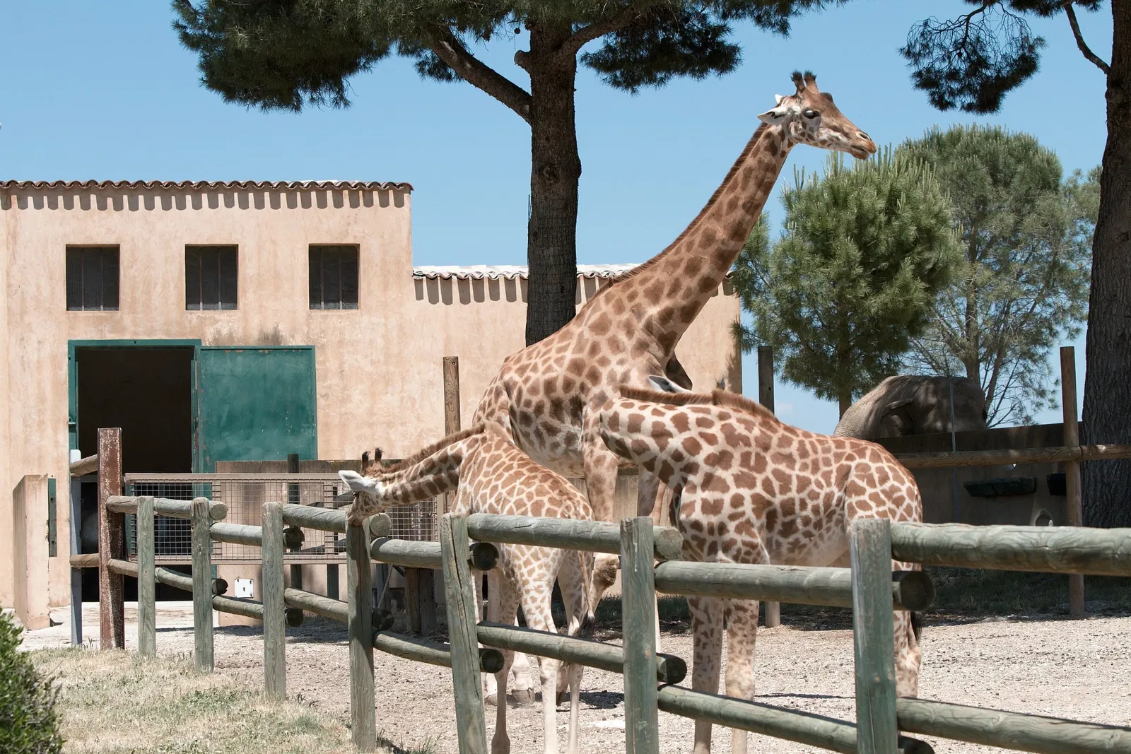 Zoo Barben (La Barben) - Visitor Information & Reviews