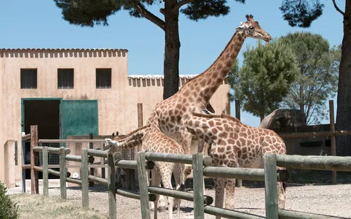 Parc Animalier de la Barben