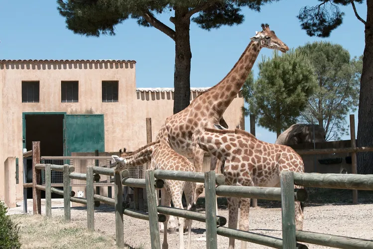 Parc Animalier de la Barben