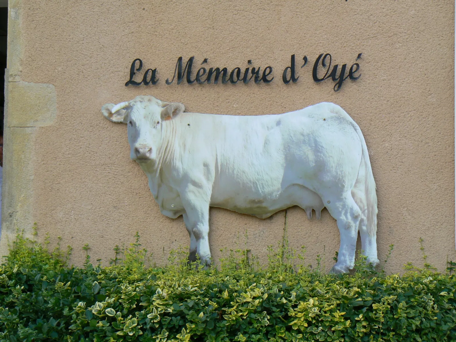 Musée La Mémoire d'Oyé