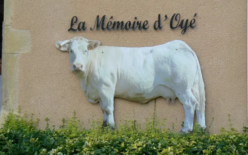 Musée La Mémoire d'Oyé