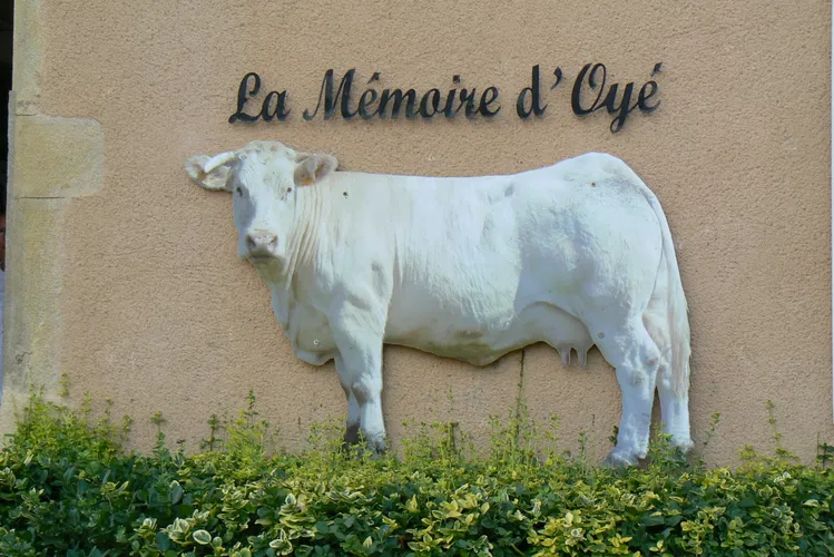 Musée La Mémoire d'Oyé