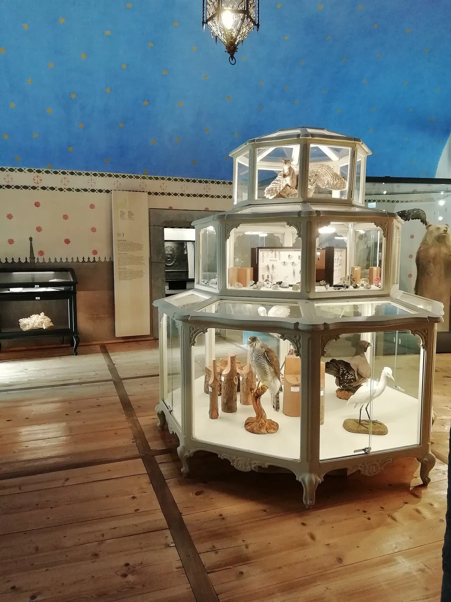 Museo Regionale di Scienze Naturali Efisio Noussan - Castello di Saint-Pierre