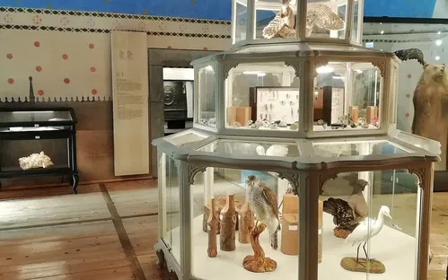 Museo Regionale di Scienze Naturali Efisio Noussan - Castello di Saint-Pierre