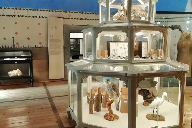 Museo Regionale di Scienze Naturali Efisio Noussan - Castello di Saint-Pierre