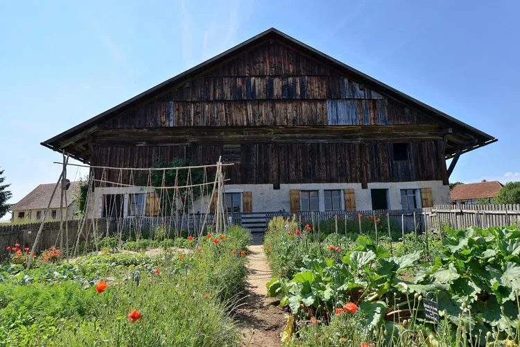 Farm Museum Montagnon