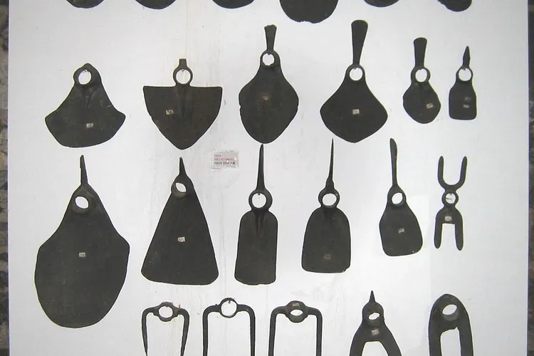 Agricultural Museum Angelo Masperi