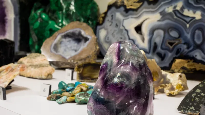 Expensive Museum Rocks Rocks & Minerals - Exhibition at Museum of World Treasures