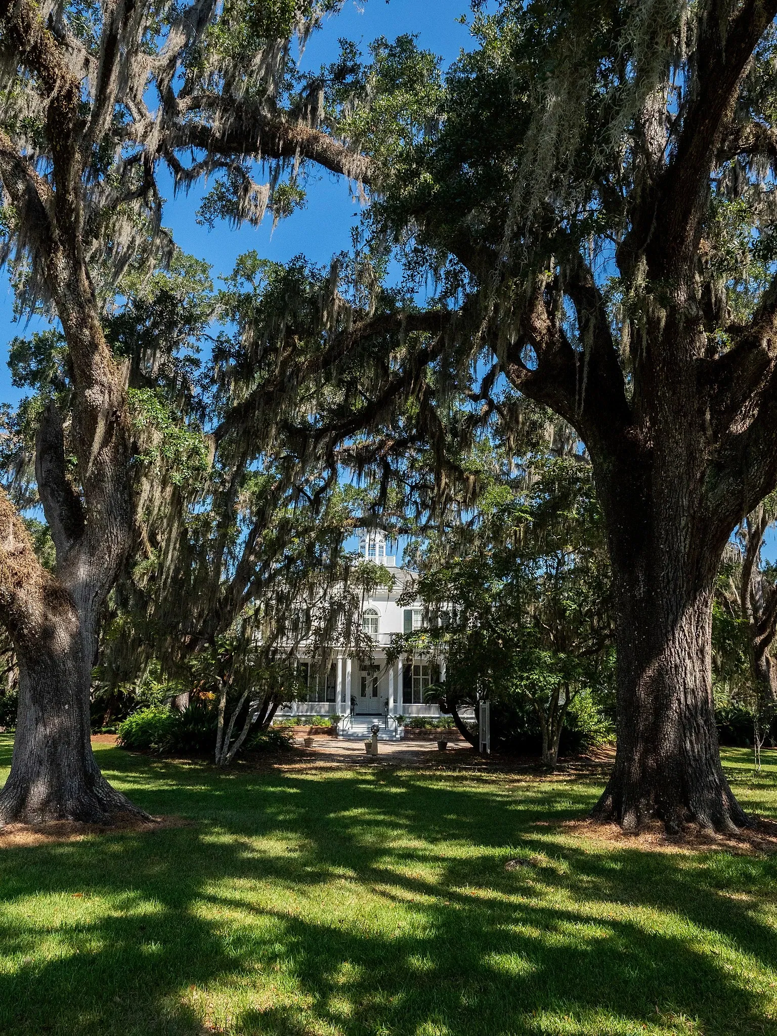 Goodwood Museum and Gardens