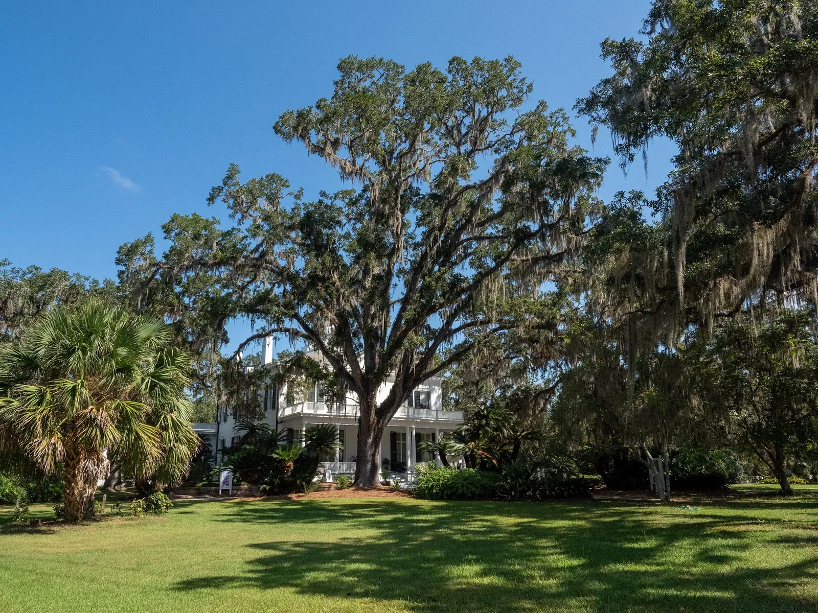 Goodwood Museum and Gardens