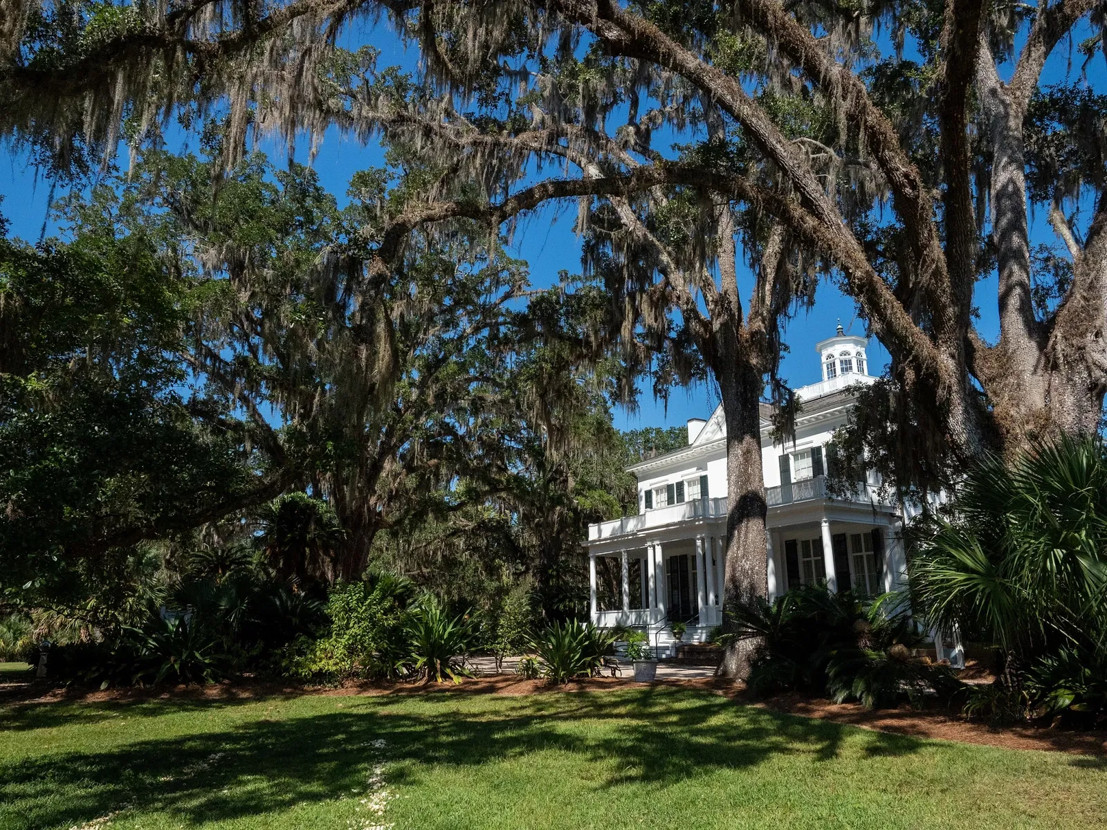 Goodwood Museum and Gardens