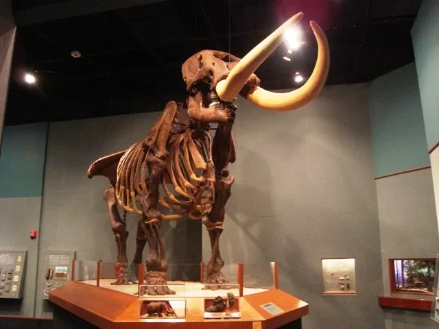 Museum of Florida History