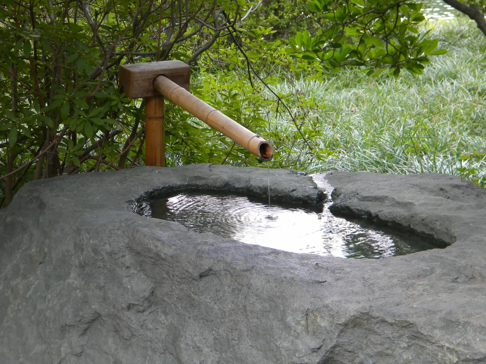 Orto botanico del Missouri