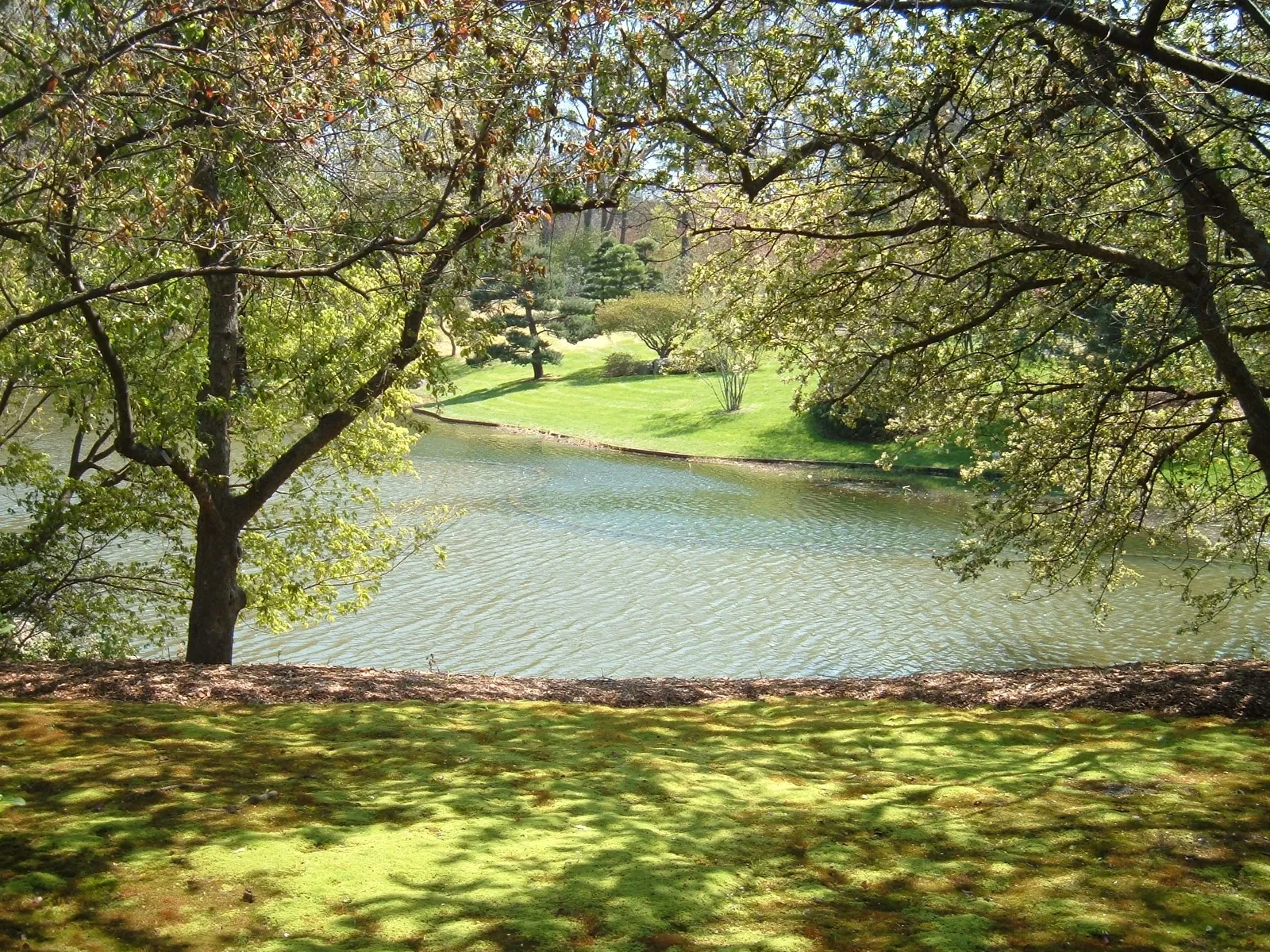 Orto botanico del Missouri