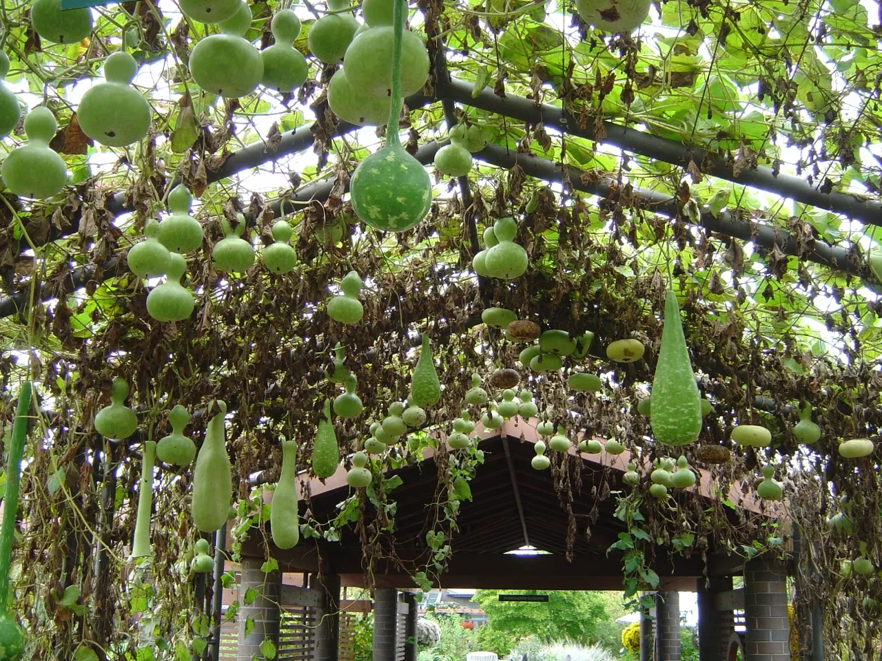 Jardín botánico de Misuri