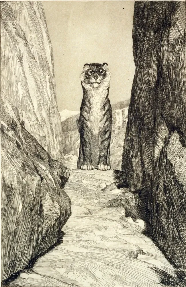 Saint Louis Art Museum