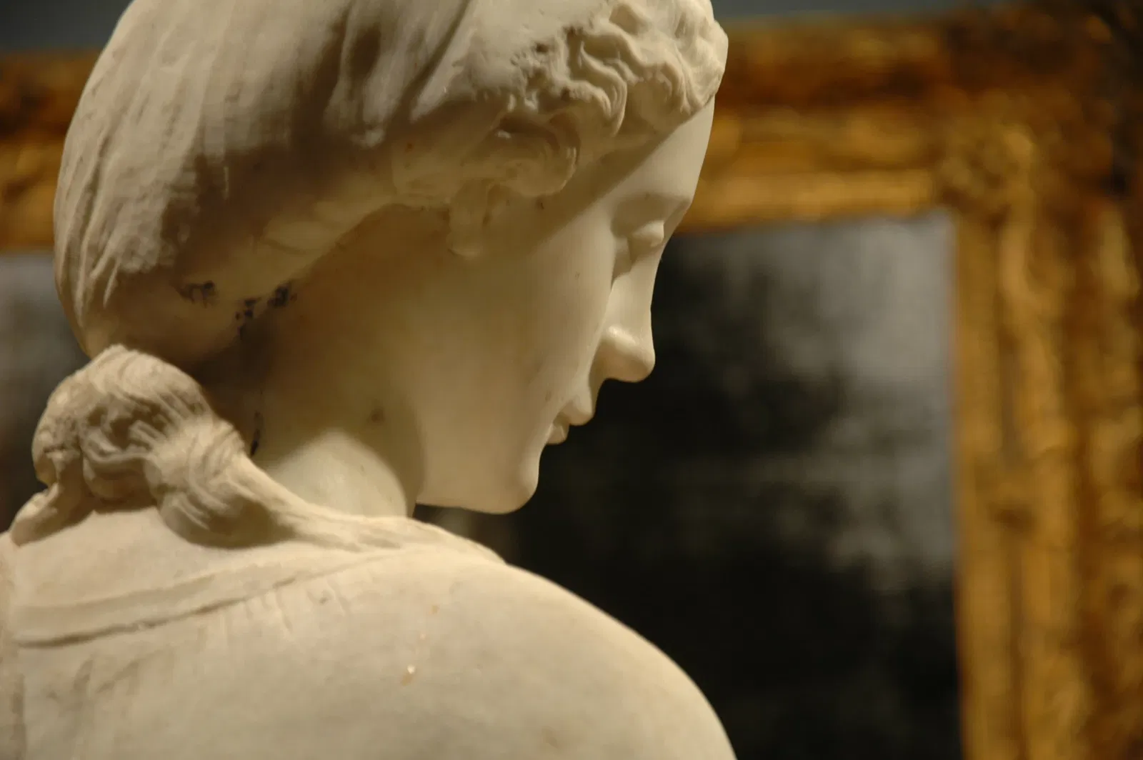 Saint Louis Art Museum