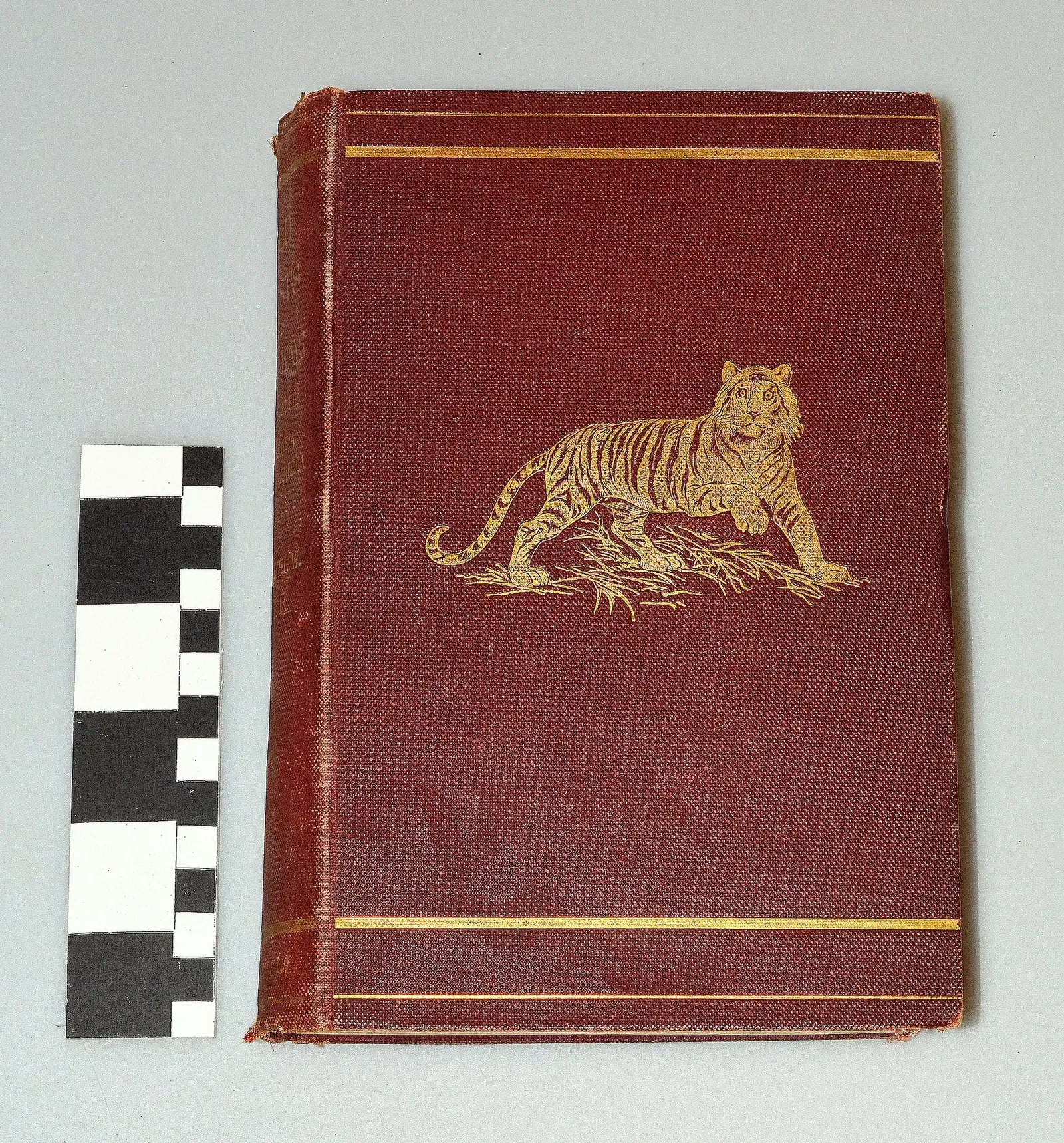 Missouri History Museum