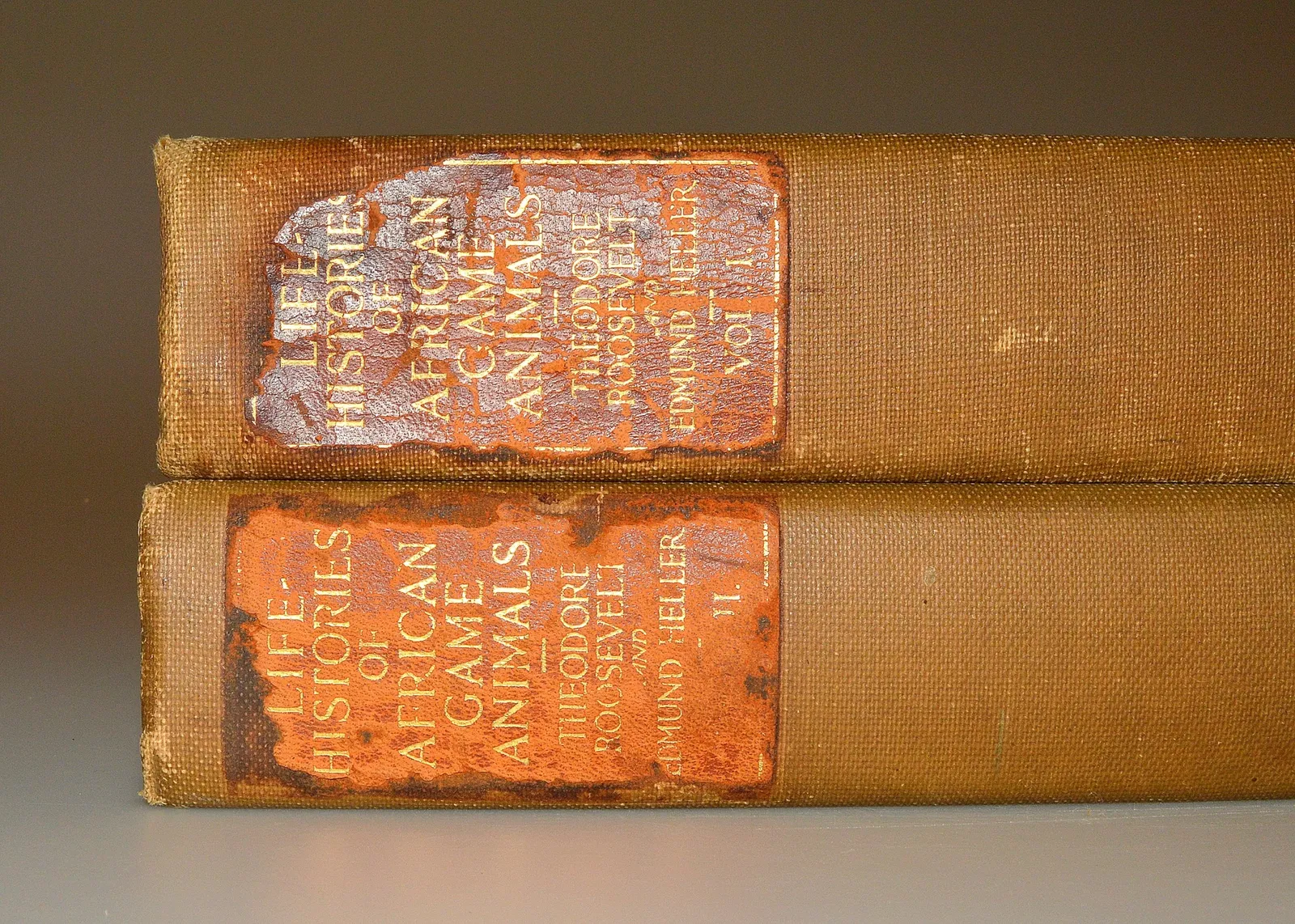 Missouri History Museum