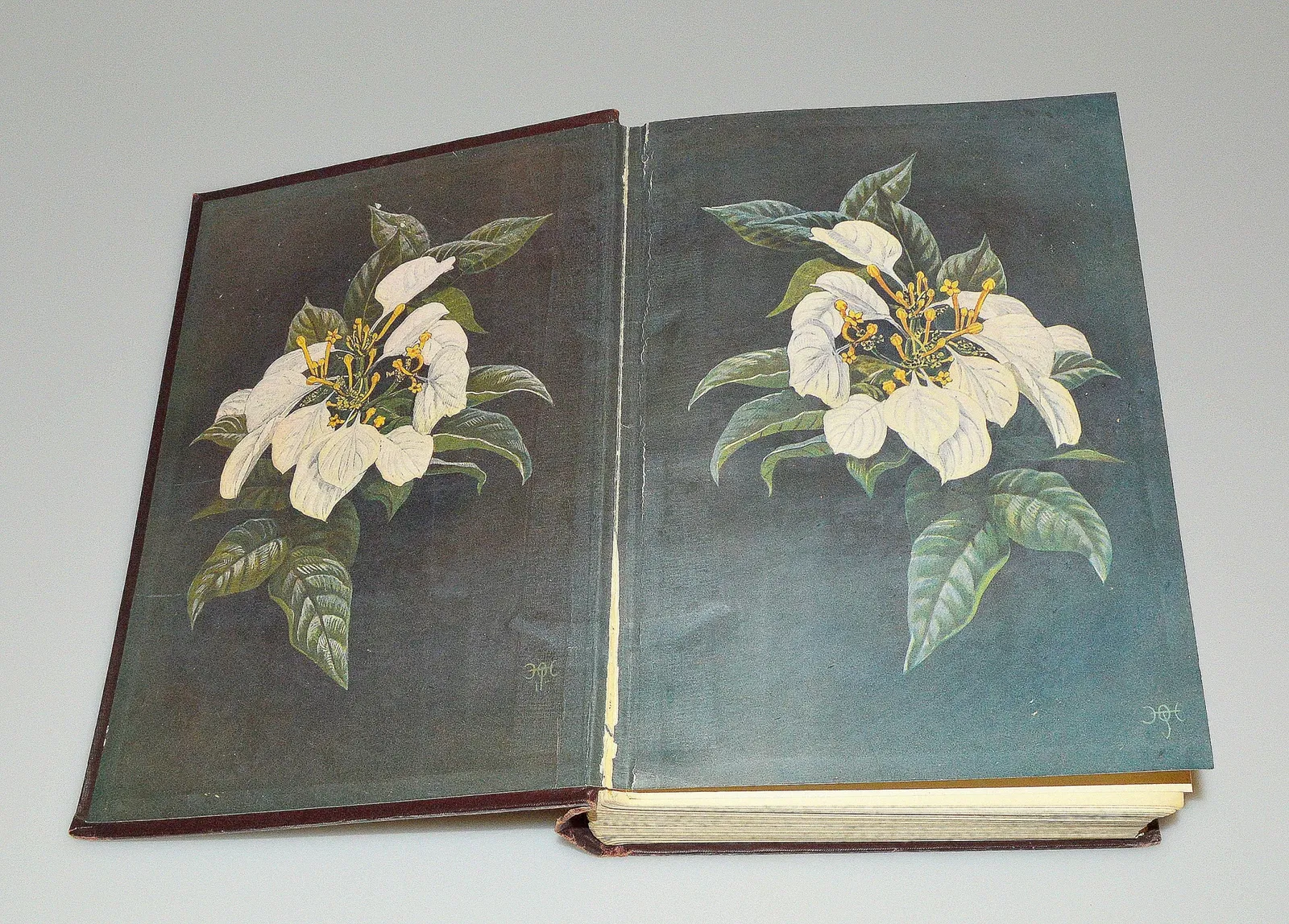 Missouri History Museum