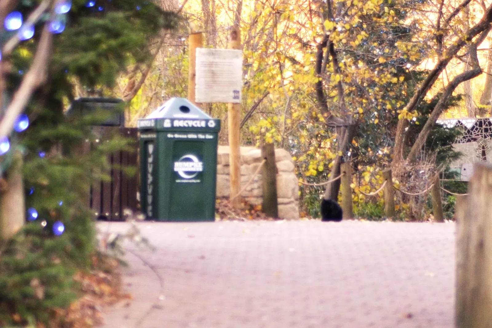 Jardín botánico y zoo de Cincinnati