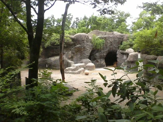 Zoo et Jardin botanique de Cincinnati
