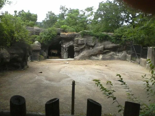 Zoo et Jardin botanique de Cincinnati