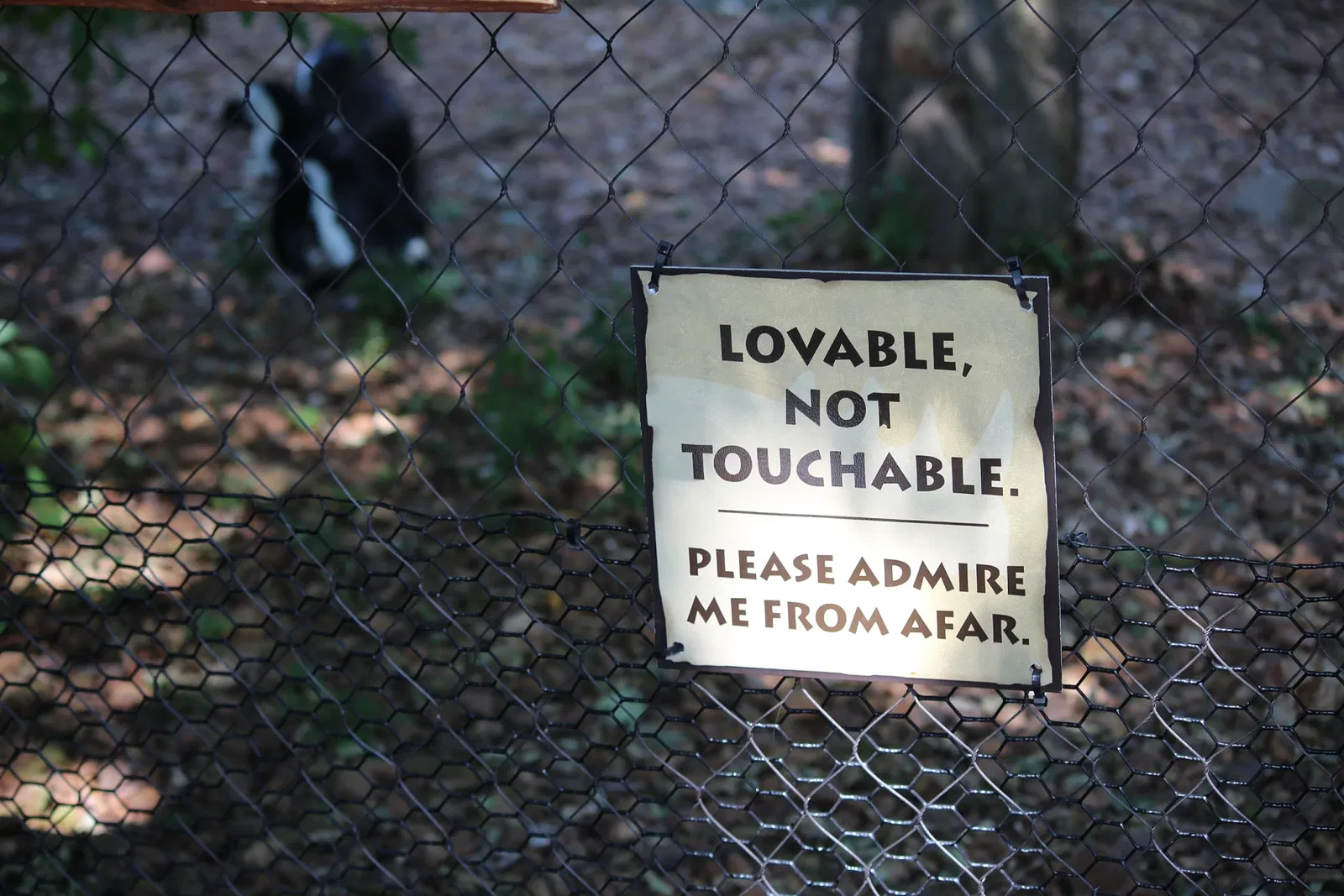Zoo et Jardin botanique de Cincinnati