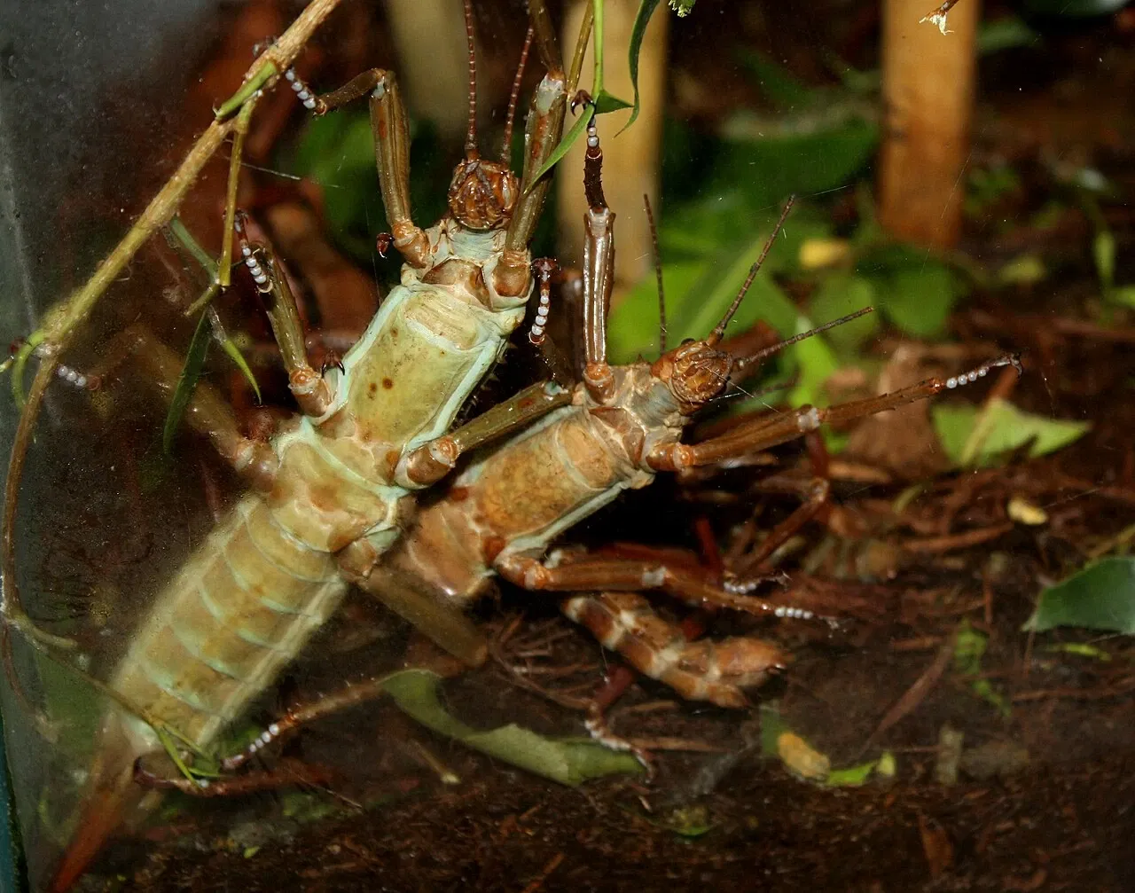 Zoo e giardino botanico di Cincinnati