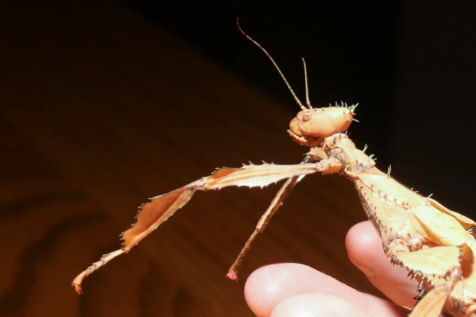 Cincinnati Zoo and Botanical Garden