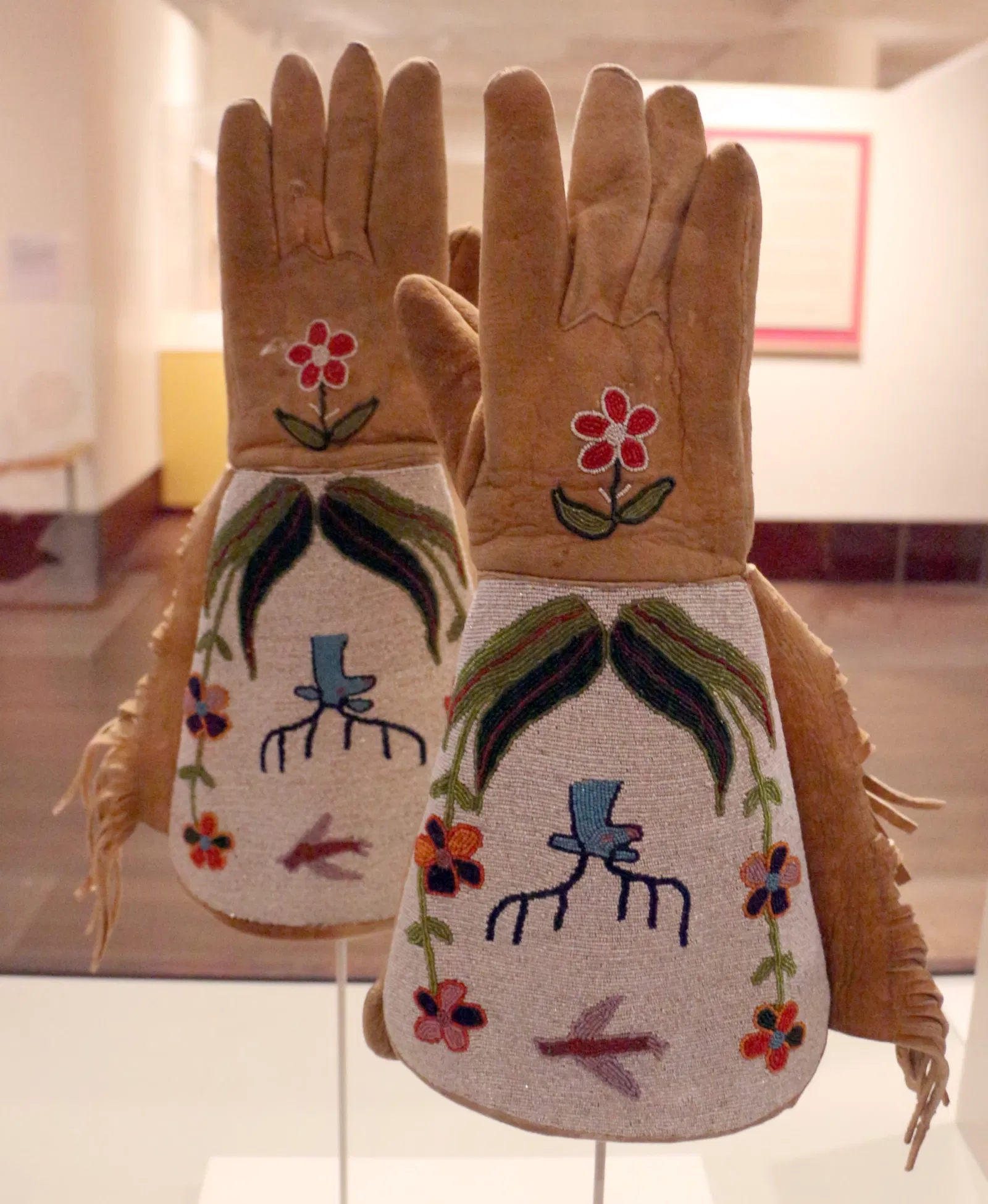 Museo Eiteljorg degli Indiani americani e dell'arte western