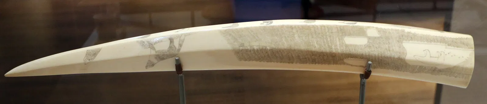 Eiteljorg Museum of American Indians