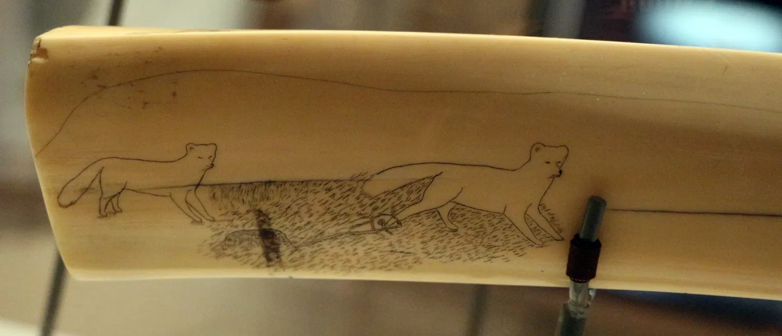 Eiteljorg Museum of American Indians