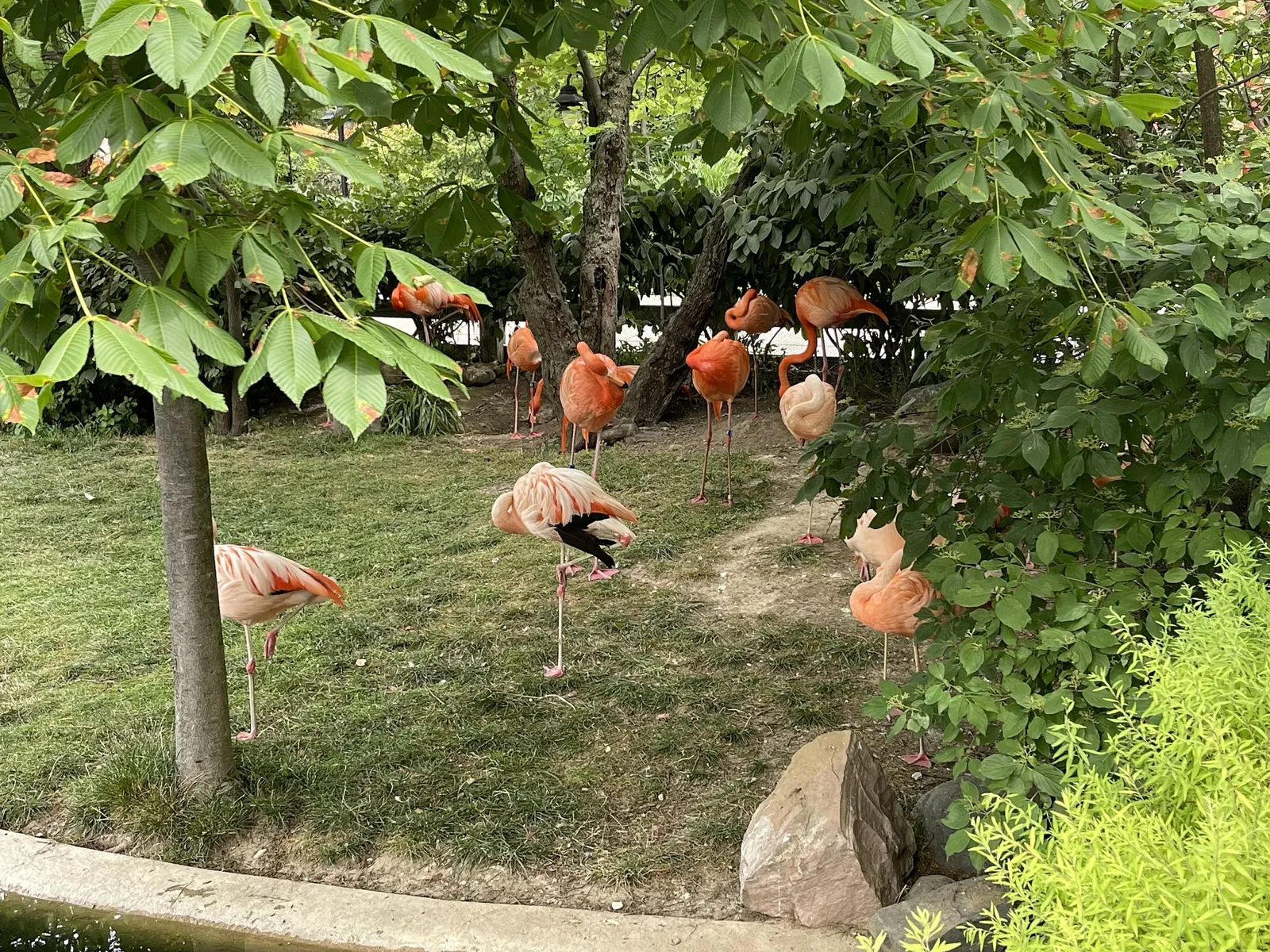 Indianapolis Zoo