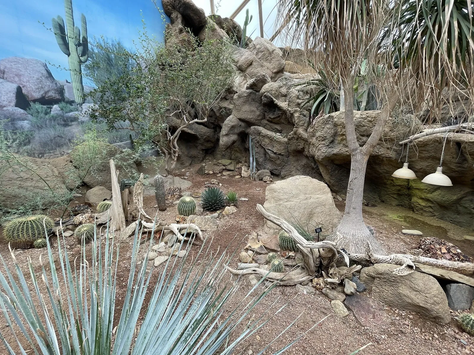 Indianapolis Zoo