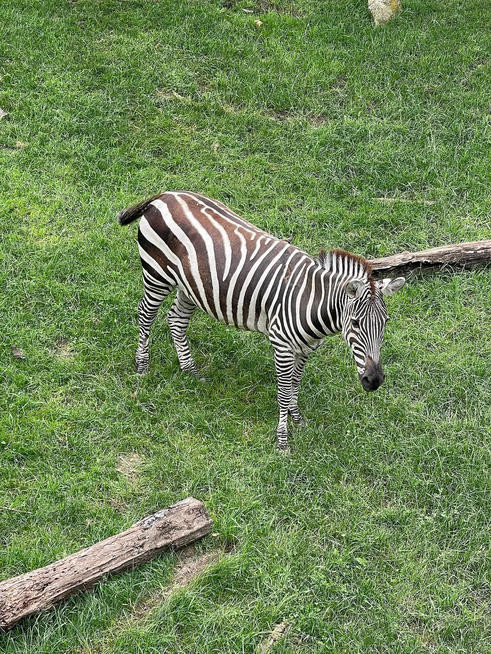 Indianapolis Zoo