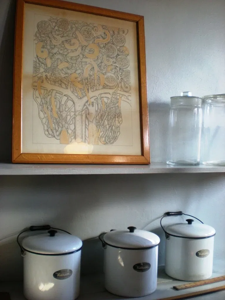 Indiana Medical History Museum