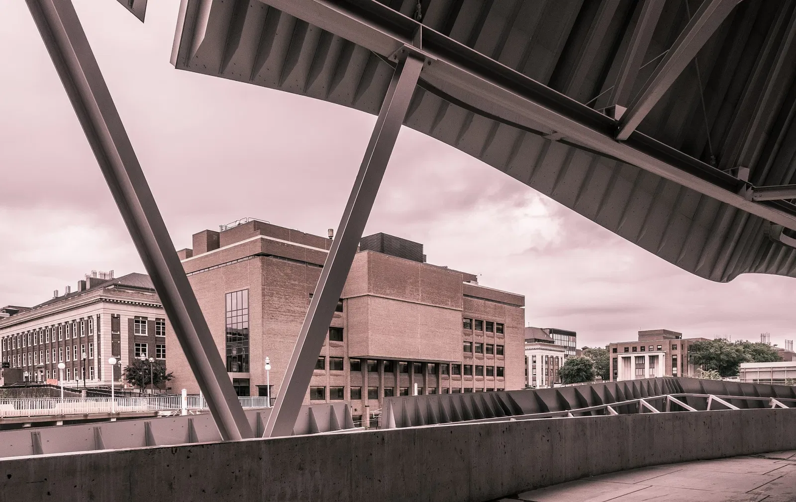 Museo de Arte Weisman