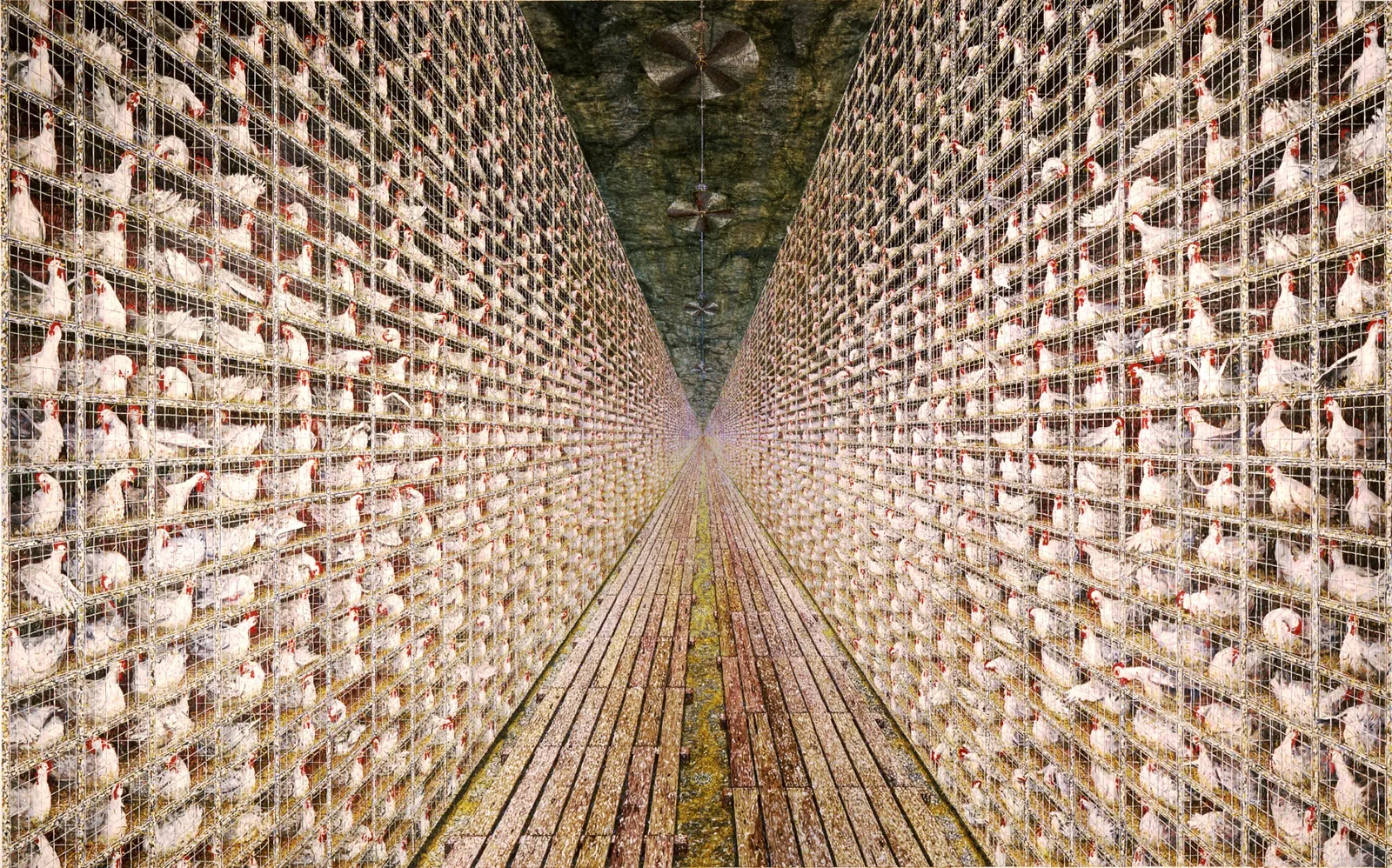 Museo de Arte Weisman