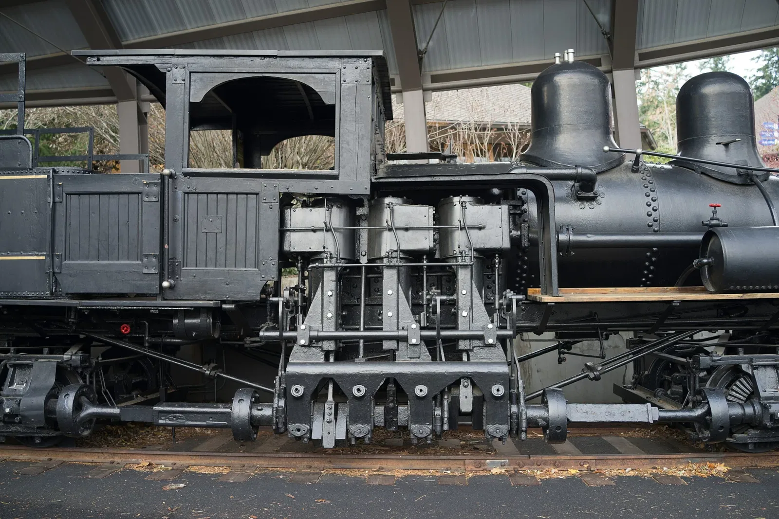 World Forestry Center