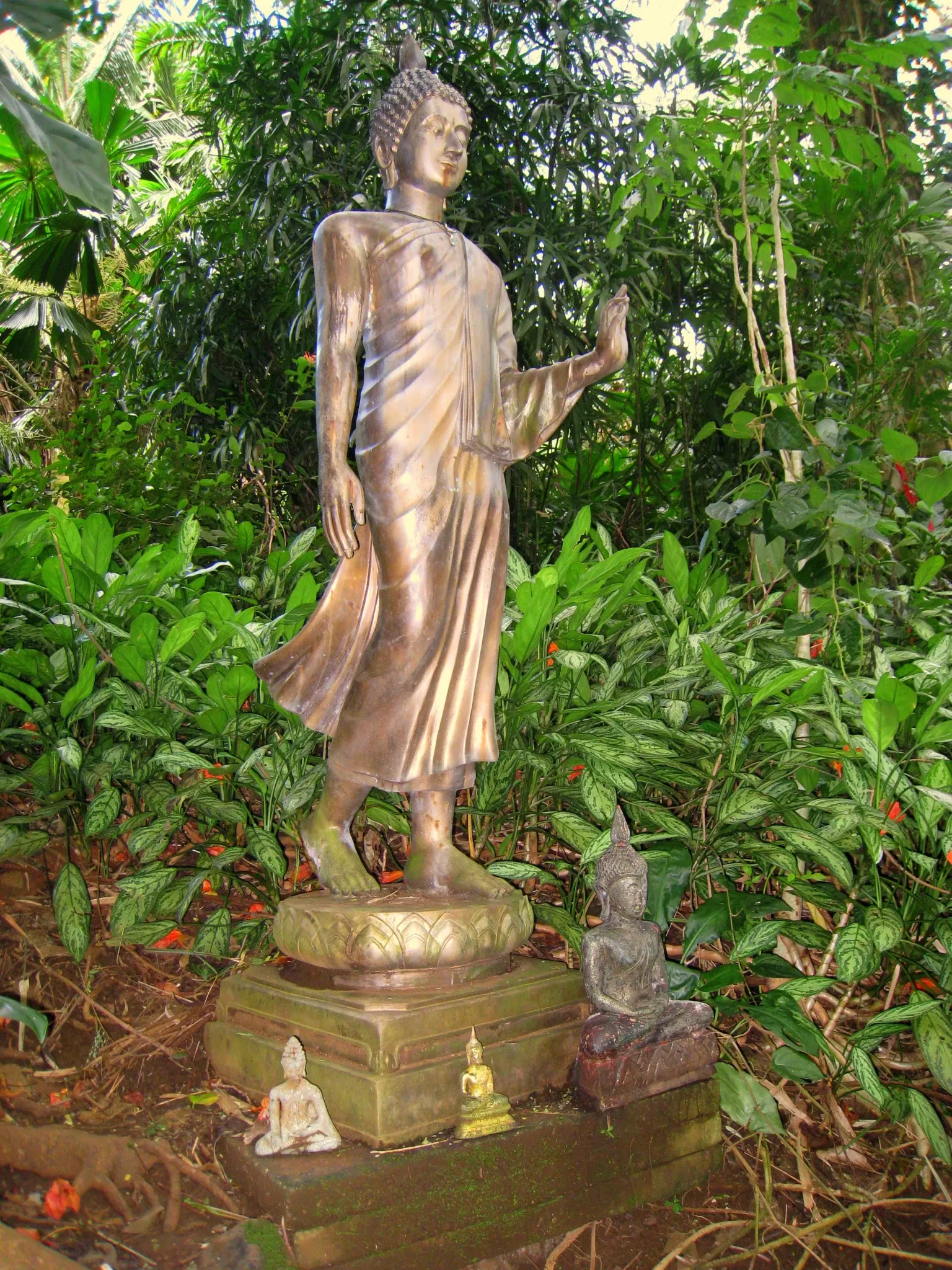 Lyon Arboretum and Botanical Garden