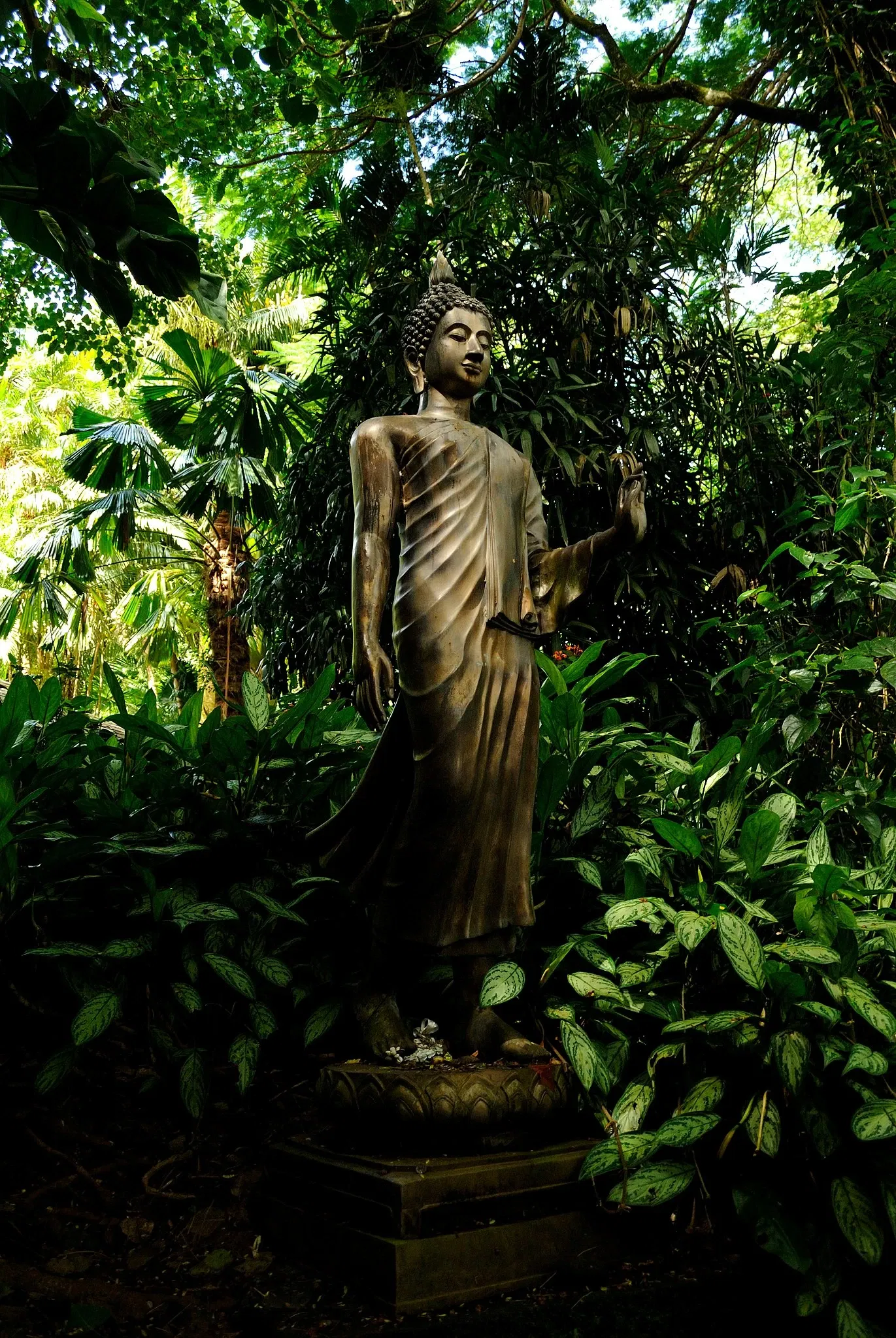 Lyon Arboretum and Botanical Garden